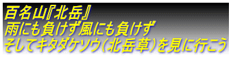 百名山『北岳』 雨にも負けず風にも負けず そしてキタダケソウ(北岳草)を見に行こう