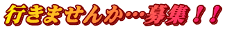 行きませんか…募集！!