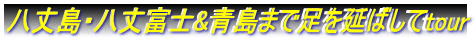 八丈島・八丈富士&青島まで足を延ばしてtour