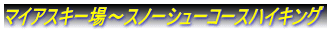 マイアスキー場～スノーシューコースハイキング